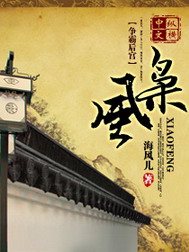 《枭风》（校对版全本）作者：海风儿 百度云txt全集下载 封面