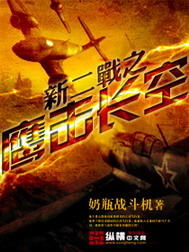 《新二战之鹰击长空》（校对版全本）作者：奶瓶战斗机 百度云txt全集下载 封面