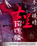 《七星招魂幡(搬山道人)》（校对版全本）作者：冬雪晚晴 百度云txt全集下载 封面