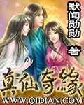 《真仙奇缘》（校对版全本）作者：默闻勋勋 百度云txt全集下载 封面