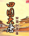 《田园大唐》（校对版全本）作者：田园如梦 百度云txt全集下载 封面