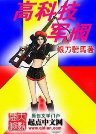 《高科技军阀》（校对版全本）作者：银刀驸马 百度云txt全集下载 封面
