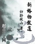 《新格物致道》（校对版全本）作者：归卧故山 百度云txt全集下载 封面