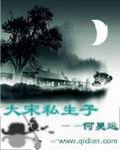 《大宋私生子》(校对版全本)作者:何昊远 百度云txt全集下载 封面