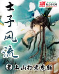 《士子风流》（校对版全本）作者：上山打老虎额 百度云txt全集下载 封面