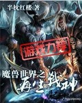 《魔兽世界之再生战神》（校对版全本）作者：半枕红楼 百度云txt全集下载 封面