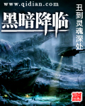 《黑暗降临》（校对版全本）作者：我丑到灵魂深处 百度云txt全集下载 封面