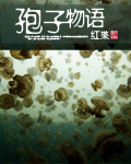 《孢子物语》（校对版全本）作者：红枼 百度云txt全集下载 封面