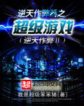 《逆天作弊器之超级游戏》（校对版全本）作者：我是超级笨笨猪 百度云txt全集下载 封面