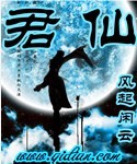 《君仙》（校对版全本）作者：风起闲云 百度云txt全集下载 封面