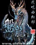 《盘龙》（校对版全本）作者：我吃西红柿 百度云txt全集下载 封面
