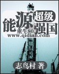 《超级能源强国》（精校版全本）作者：志鸟村 百度云txt全集下载 封面
