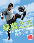 《绿茵之王》(校对版全本)作者:独步千军 百度云txt全集下载 封面