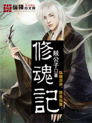 《修魂记》（校对版全本）作者：贼公子 百度云txt全集下载 封面