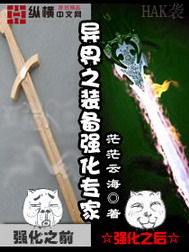 《异界之装备强化专家》（校对版全本）作者：茫茫云海 百度云txt全集下载 封面