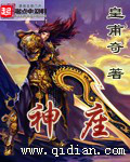 《神座》(精校版全本)作者:皇甫奇 百度云txt全集下载 封面