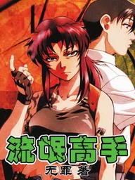 《流氓高手》（校对版全本）作者：无罪 百度云txt全集下载 封面