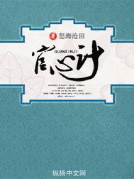 《官心计》（校对版全本）作者：怒海沧田 百度云txt全集下载 封面