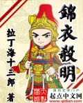 《锦衣杀明》（校对版全本）作者：拉丁海十三郎 百度云txt全集下载 封面