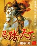 《马踏天下》（校对版全本）作者：枪手一号 百度云txt全集下载 封面