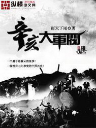 《辛亥大军阀》（精校版全本）作者：雨天下雨 百度云txt全集下载 封面