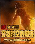 《穿越时空的蝴蝶》（校对版全本）作者：老老王 百度云txt全集下载 封面