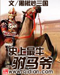 《史上最牛驸马爷》（校对版全本）作者：黑椒炒三国 百度云txt全集下载 封面