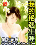 《我的艳遇生涯》（校对版全本）作者：墨羽无痕 百度云txt全集下载 封面