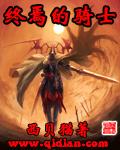 《终焉的骑士》（校对版全本）作者：西贝猫 百度云txt全集下载 封面