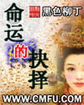 《命运的抉择》（校对版全本）作者：黑色柳丁 百度云txt全集下载 封面