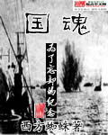 《国魂》（校对版全本）作者：西方蜘蛛 百度云txt全集下载 封面