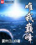 《唯我巅峰》（校对版全本）作者：雾外江山 百度云txt全集下载 封面
