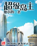 《超级岛主》(校对版全本)作者:傻小四 百度云txt全集下载 封面