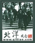 《北洋》（校对版全本）作者：戒念 百度云txt全集下载 封面