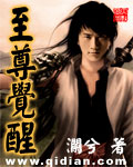 《至尊觉醒》(校对版全本)作者:澜兮 百度云txt全集下载 封面