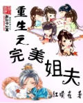 《重生之完美姐夫》(校对版全本)作者:红嘴雀 百度云txt全集下载 封面
