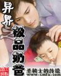 《异界之极品奶爸》（校对版全本）作者：圣骑士的传说 百度云txt全集下载 封面