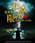 《执掌无限》（校对版全本）作者：o花开无月o 百度云txt全集下载 封面