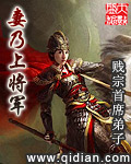 《妻乃上将军》（校对版全本）作者：贱宗首席弟子 百度云txt全集下载 封面