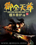《御宝天尊》(校对版全本)作者:檀木香炉 百度云txt全集下载 封面