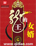 《龙王的女婿》（校对版全本）作者：龙王的贤婿 百度云txt全集下载 封面