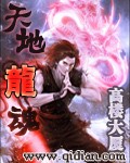 《天地龙魂》(校对版全本)作者:高楼大厦 百度云txt全集下载 封面