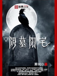 《阴墓阳宅》（校对版全本）作者：萧何 百度云txt全集下载 封面