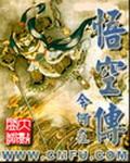 《悟空传》（校对版全本）作者：今何在 百度云txt全集下载 封面