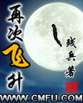 《再次飞升》（校对版全本）作者：残兵 百度云txt全集下载 封面