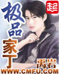 《极品家丁》(校对版全本)作者:禹岩 百度云txt全集下载 封面