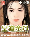 《皇道金丹》（校对版全本）作者：小小羽 百度云txt全集下载 封面