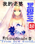 《我的老婆亚瑟王》（校对版全本）作者：MyKingsKnight 百度云txt全集下载 封面