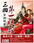 《三国第一妹控》（校对版全本）作者：军阀啊 百度云txt全集下载 封面