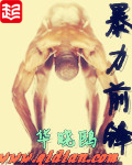 《暴力前锋》（校对版全本）作者：华晓鸥 百度云txt全集下载 封面